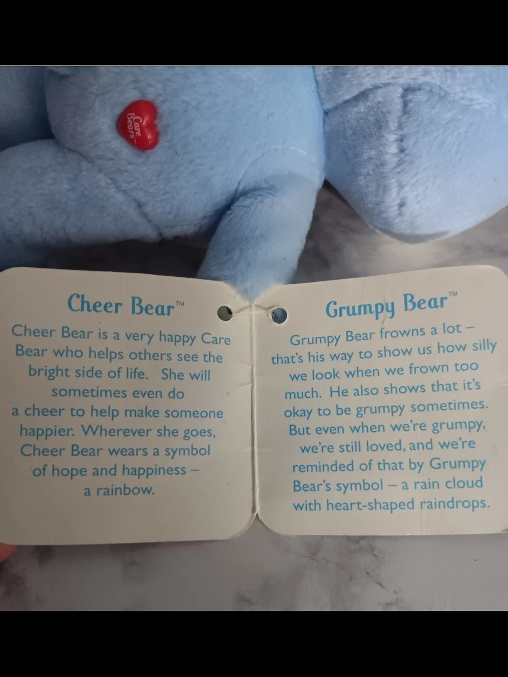 Vintage 2002 Care Bears Cuddle Pair – Cheer Bear & Grumpy Bear – Tagged